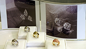 Gold Jewellery Collection - Nature’s Secrets