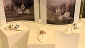 Gold Jewellery Collection - Nature’s Secrets