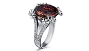 Platinum Collection: Solitaire Rings