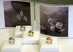 Gold Jewellery - Nature’s secrets